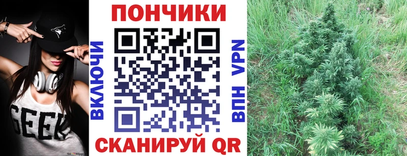 Виды наркоты Николаевск-на-Амуре kraken вход  Alpha-PVP  Бошки Шишки  COCAIN  Амфетамин 