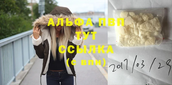 a pvp Алзамай