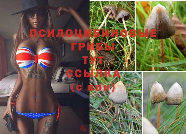 МДМА Алексин