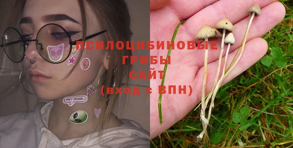прущие крисы Алексеевка