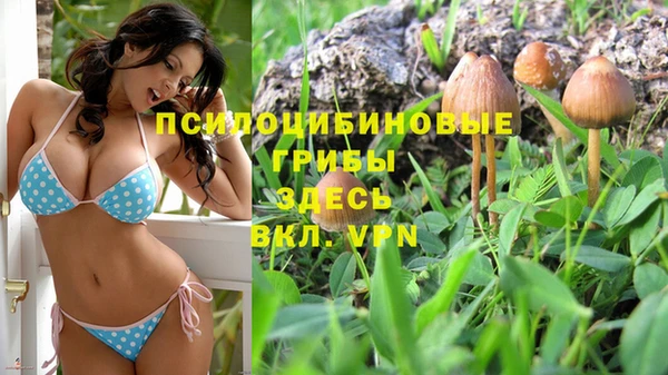 прущие крисы Алексеевка