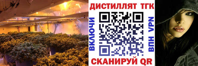 ТГК Wax  Николаевск-на-Амуре 